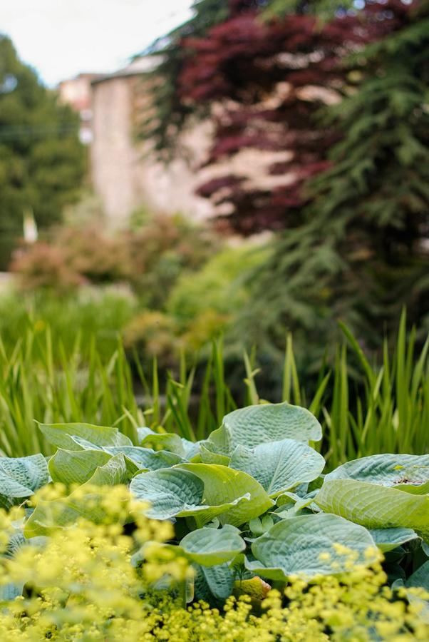 Saltmarshe Hall エクステリア 写真